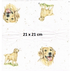 Chusteczka mini 21x21cm / Cena 1 sztuki / pieski / -3381-